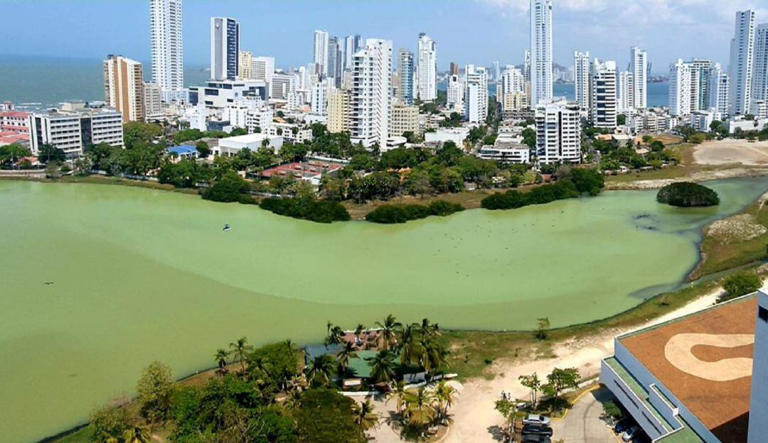 Las aguas de El Laguito tomaron un color verde