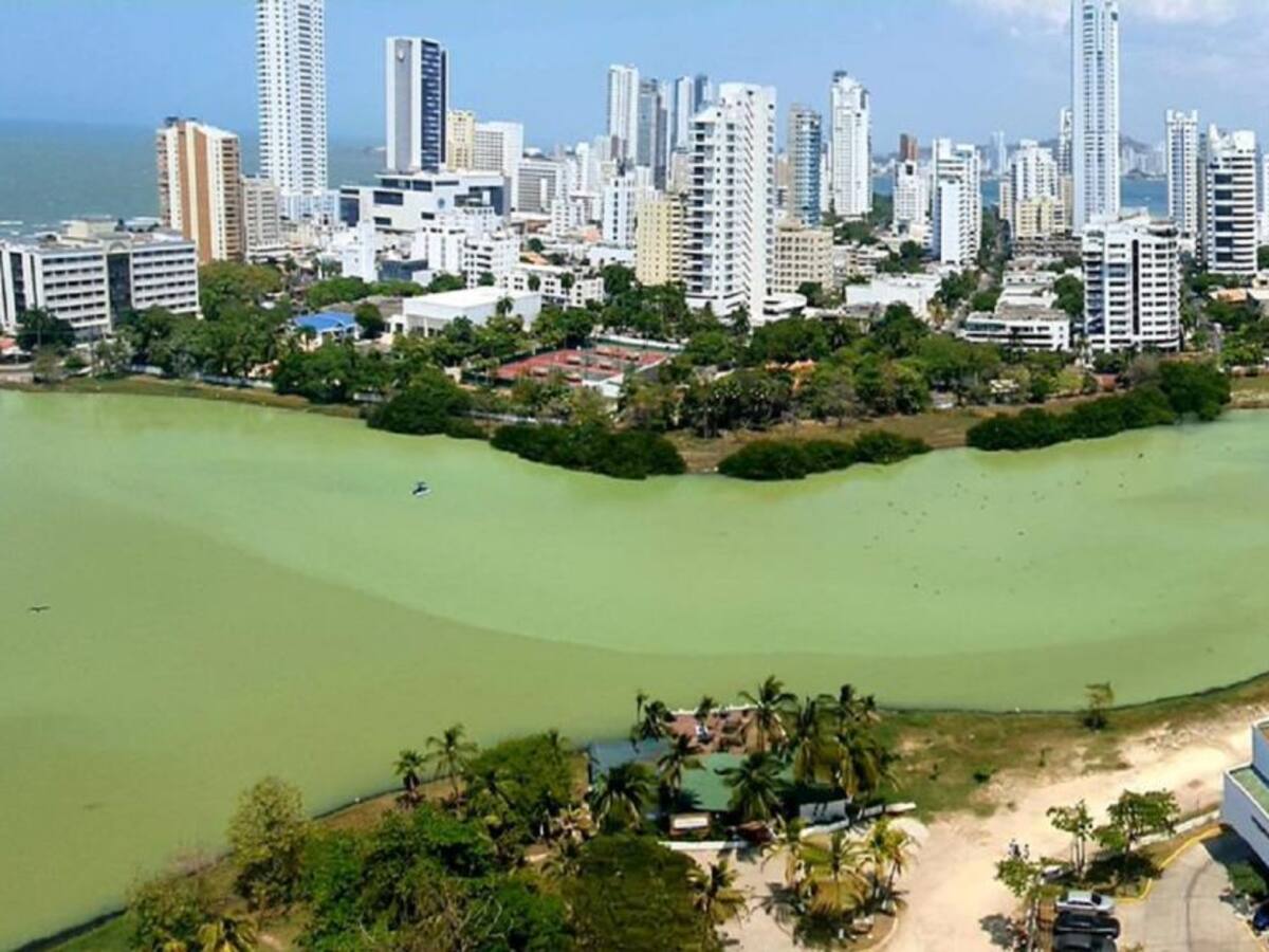 Piden a MinAmbiente realizar vigilancia especial a emergencia de El Laguito