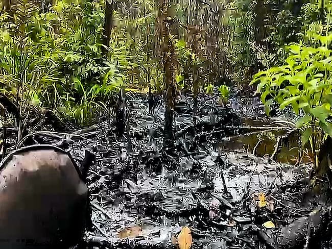 Refinerías ilegales en Nariño. FOTO: Ejército Nacional
