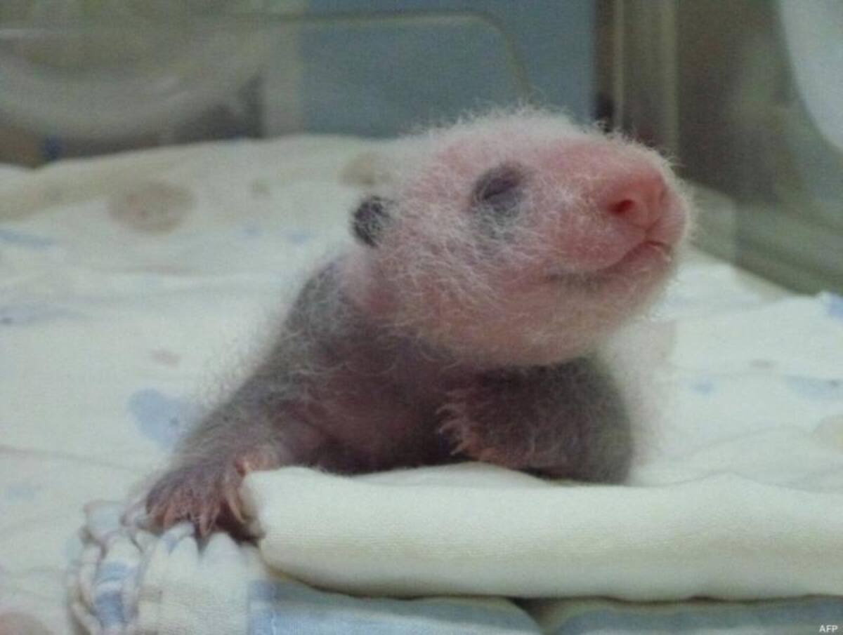 Foto:http://www.huffingtonpost.es/