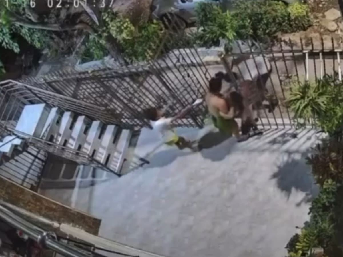 Delincuente armado atracó a pareja de reconocido cantante de champeta en la puerta de su casa