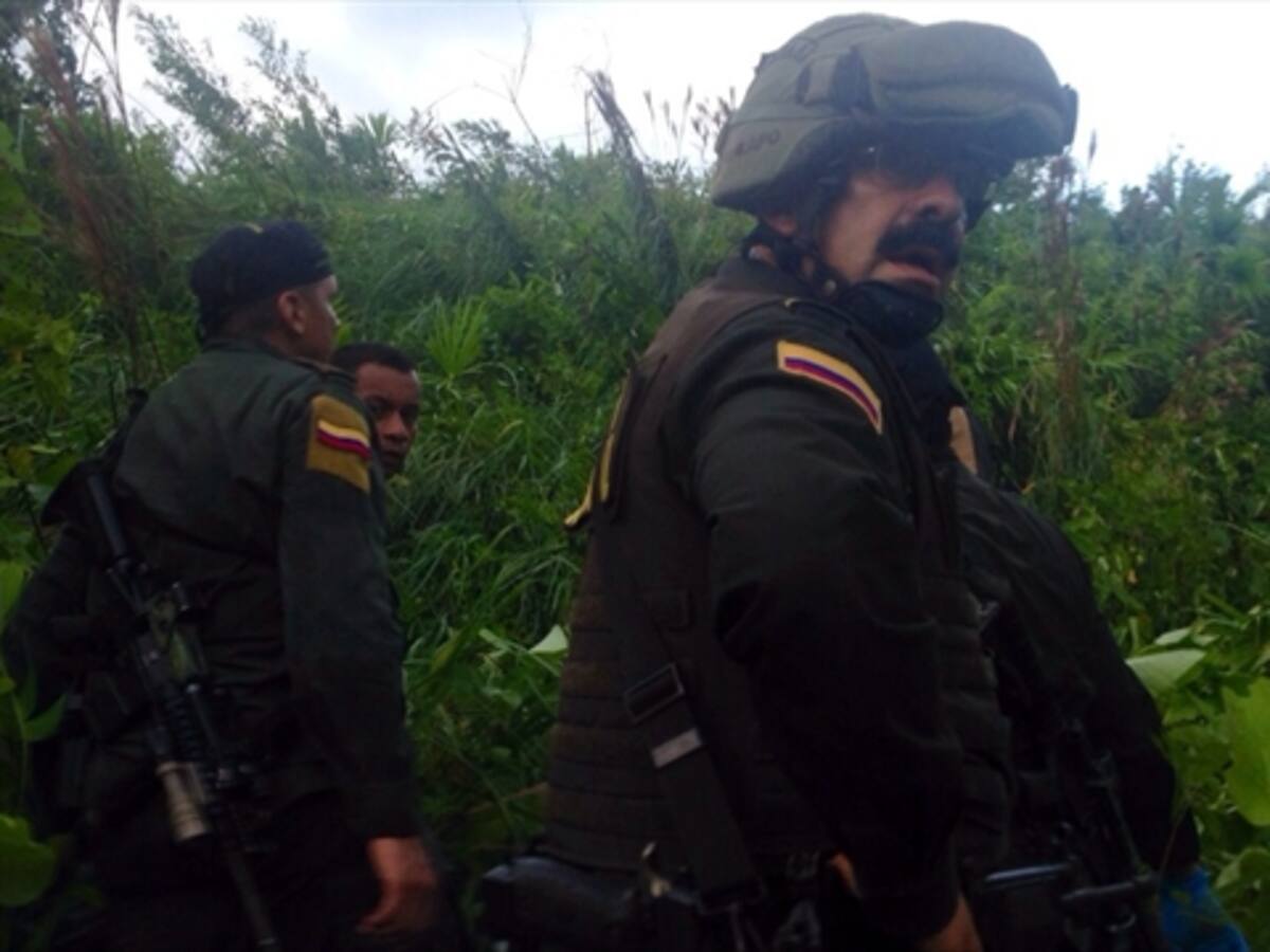 Policía ratifica que hay alianza entre Farc y bandas criminales