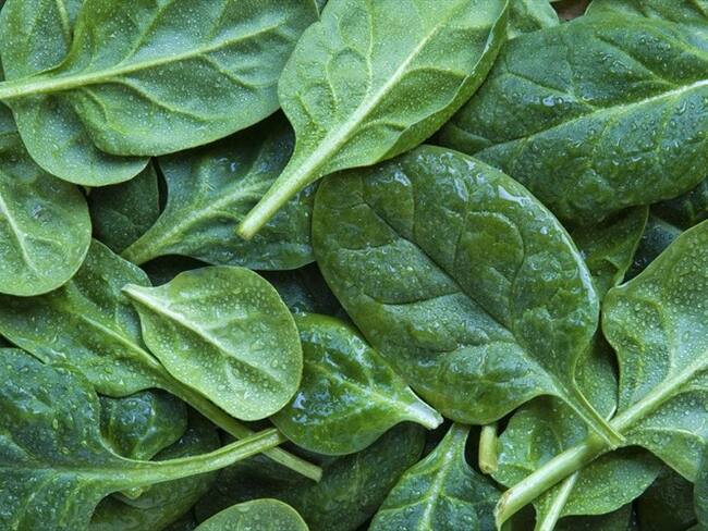 ¿Lo ha probado? Este es el vegetal verde más saludable de todos: así lo puede preparar. Foto: Getty Images