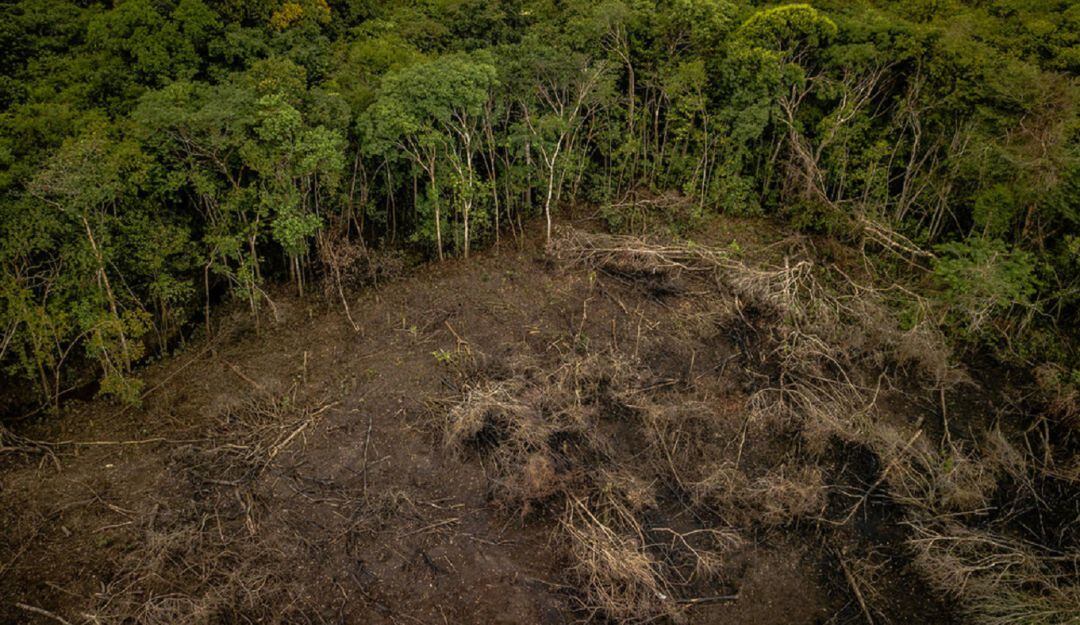 Aumenta la deforestación en Norte de Santander