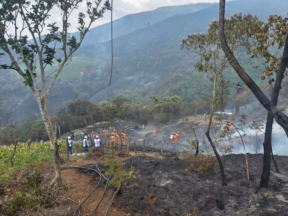 Controlan incendio forestal que afectó cuatro veredas de Ábrego, Norte de Santander