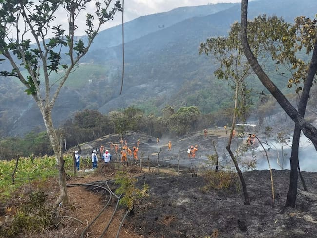 Controlan incendio forestal que afectó cuatro veredas de Ábrego, Norte de Santander. / Foto: Alcaldía.