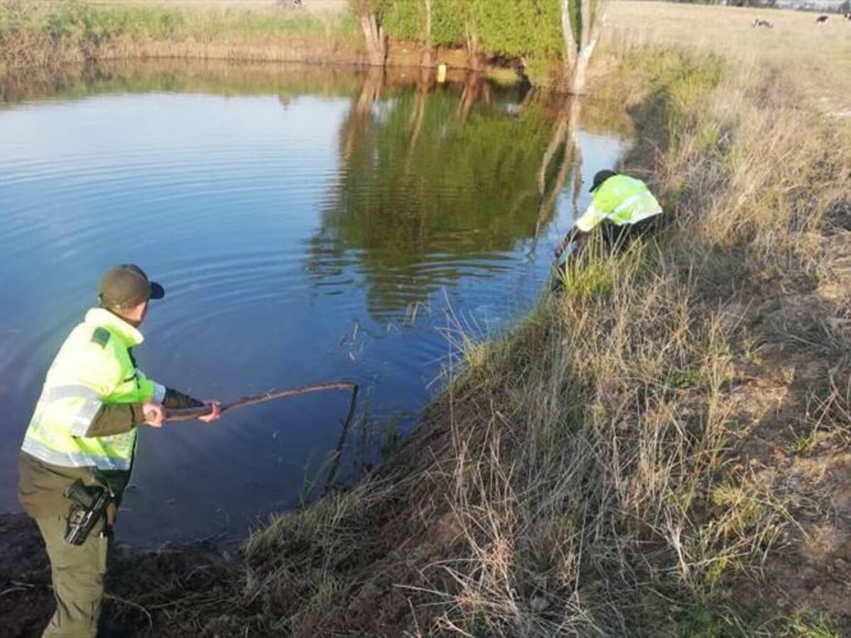 Adulto mayor pierde la vida tras caer en un reservorio en Siachoque a pocos metros de su casa