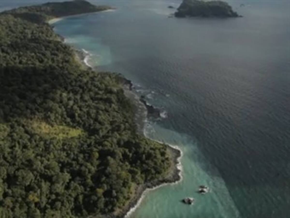 Video del día: Con este comercial Colombia se promociona en Europa y África