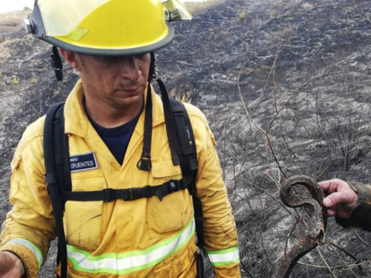 Bomberos combatieron incendio forestal en Dapa, corregimiento de Yumbo