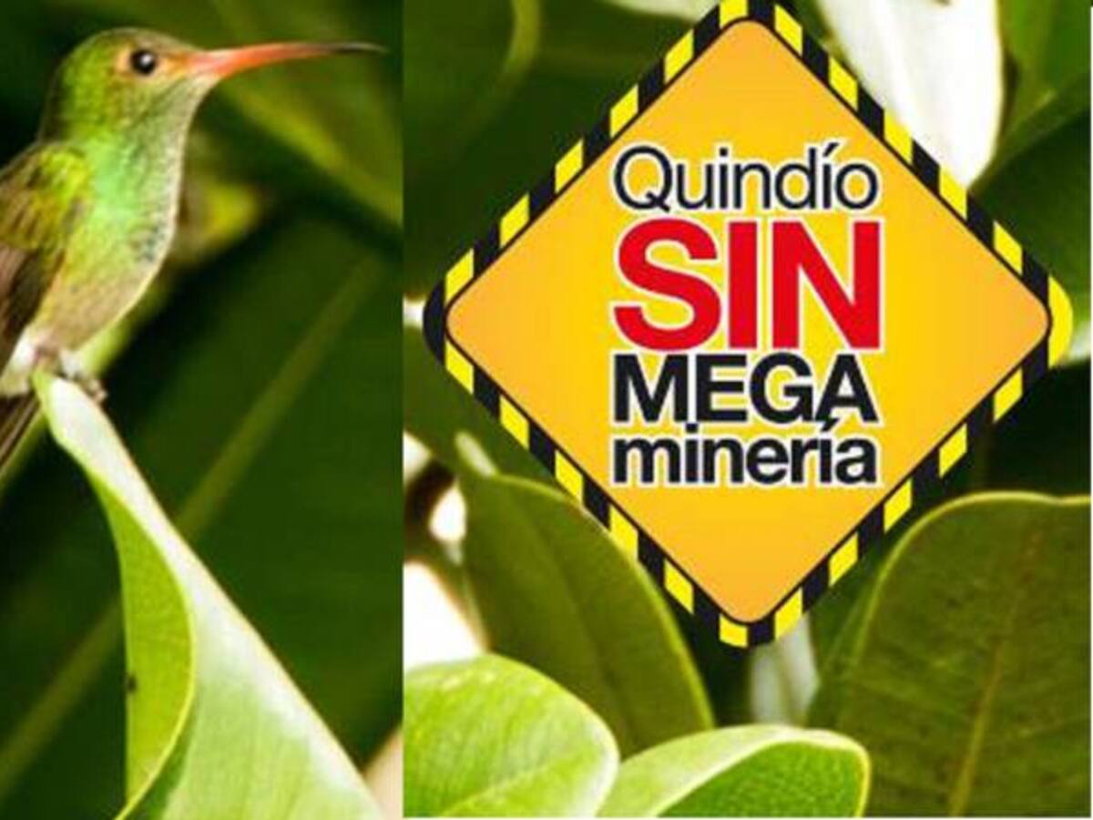 “Quindío sin mega minería” claman en redes sociales para proteger la palma de cera