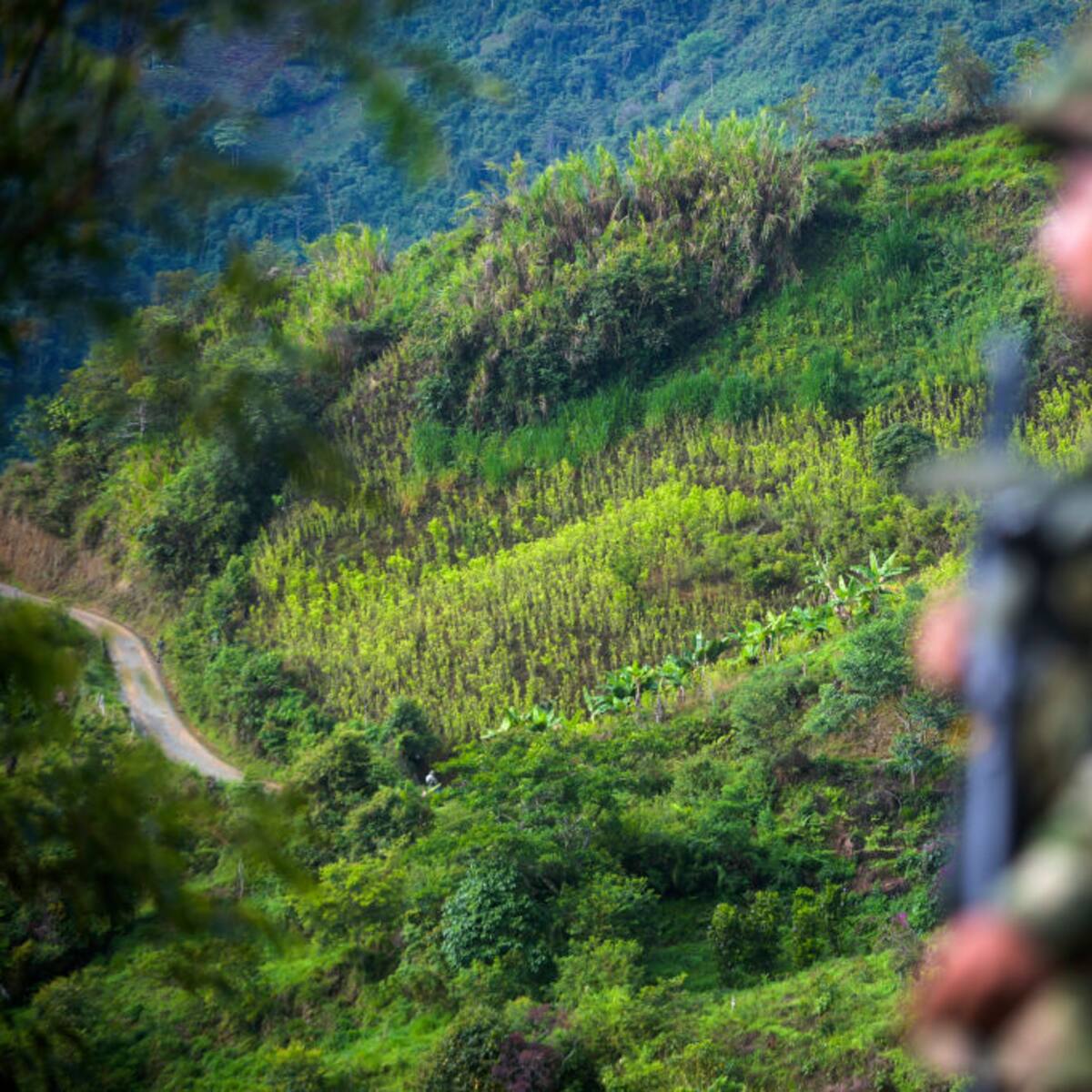 Ejército reitera que los 11 muertos en operación militar de Putumayo son presuntos miembros de la Estructura 48