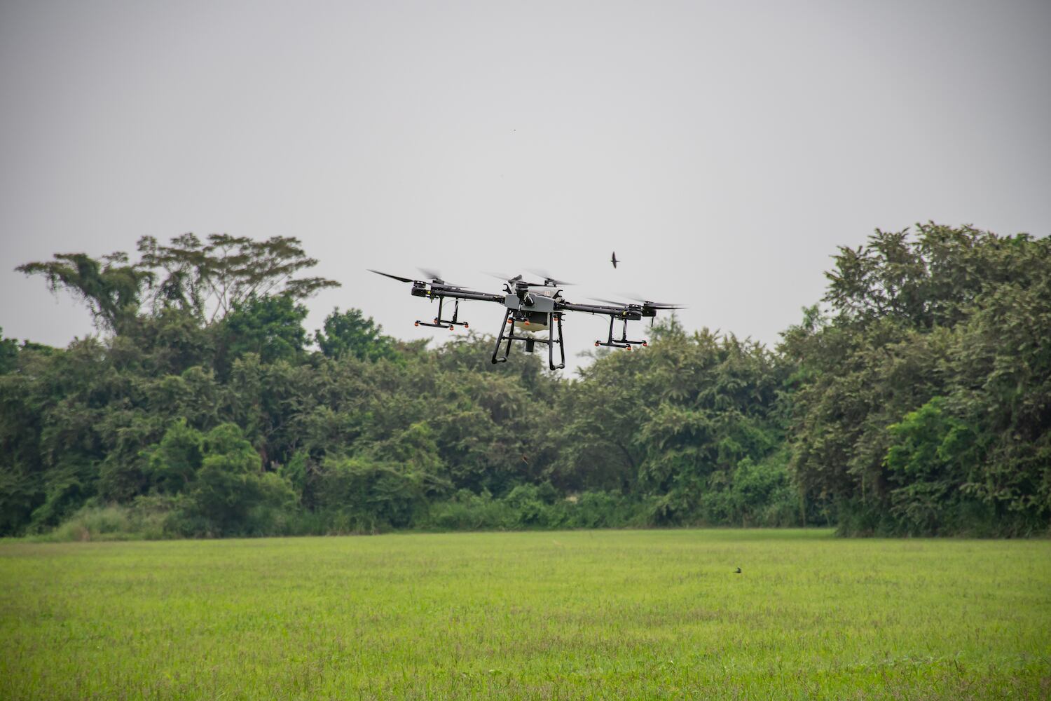 El Sena Tolima recibió la donación
