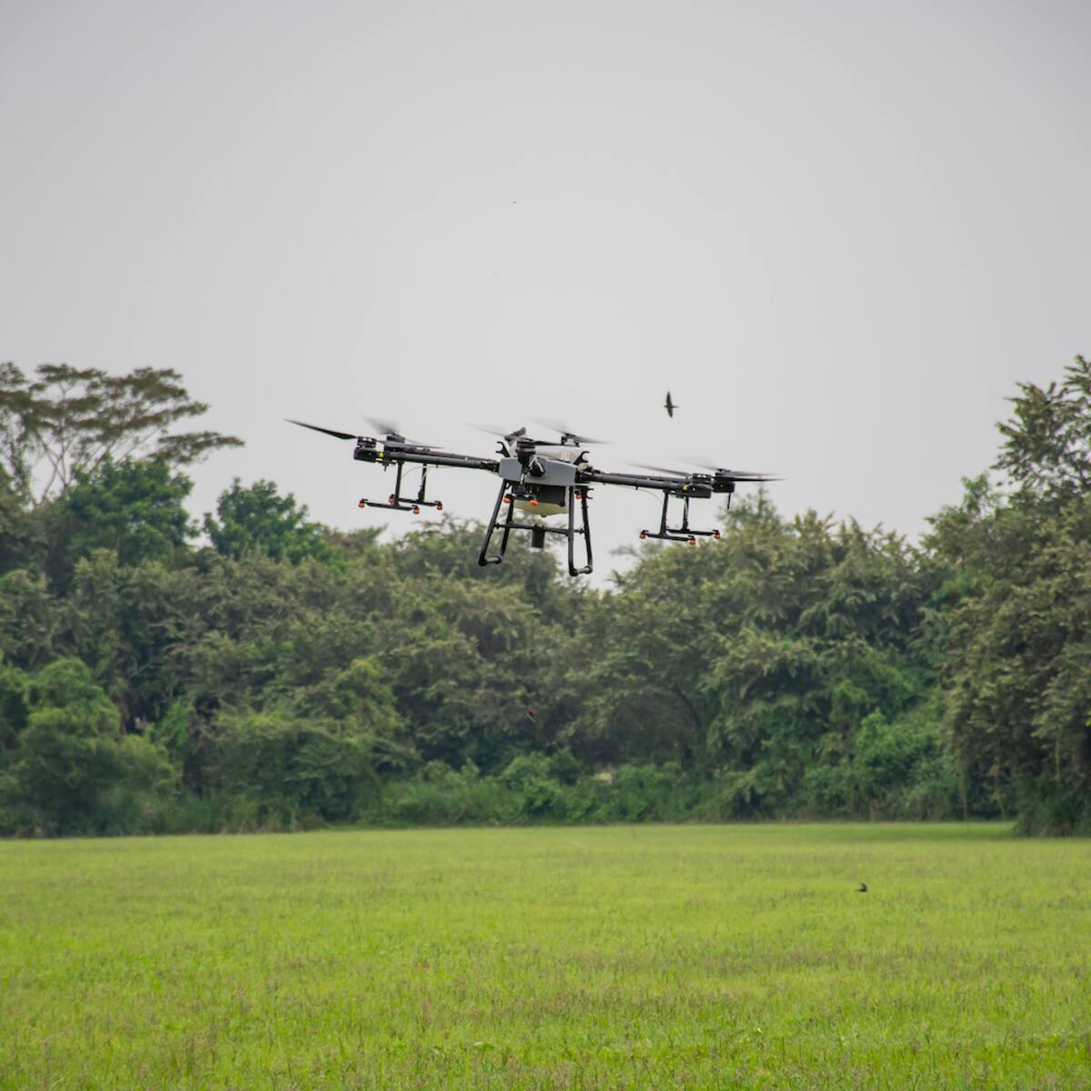 Embajada de Brasil entrega dron de fumigación al Sena Tolima