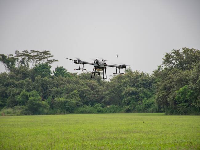 El Sena Tolima recibió la donación