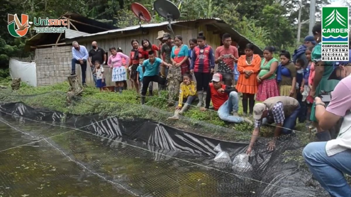 Impulsan programa de seguridad alimentaria para indígenas en Risaralda