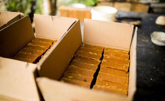 Ya se prepara el decreto que reglamentará la compra de papa y panela a productores Nariñenses.