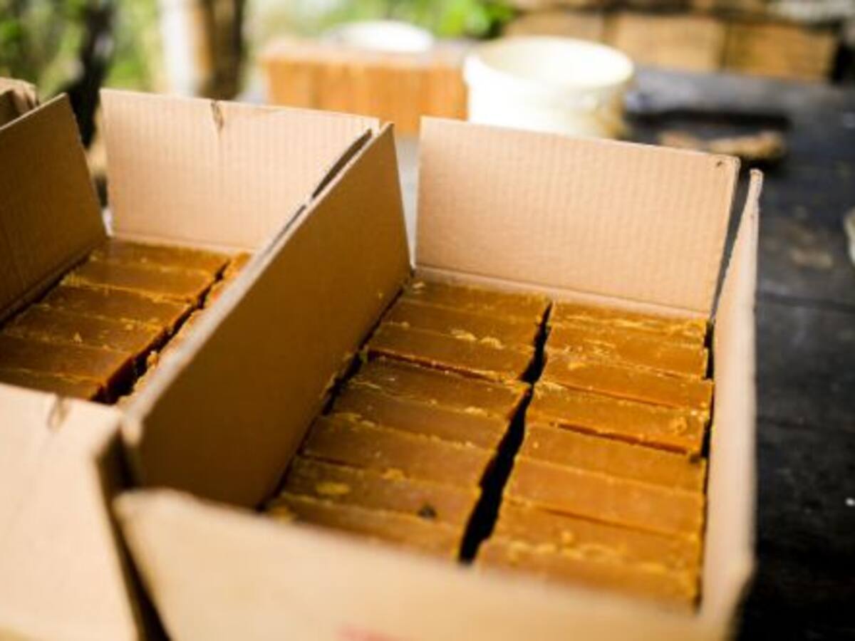 Papa y panela, productos priorizados para ser comprados por el Gobierno Nacional