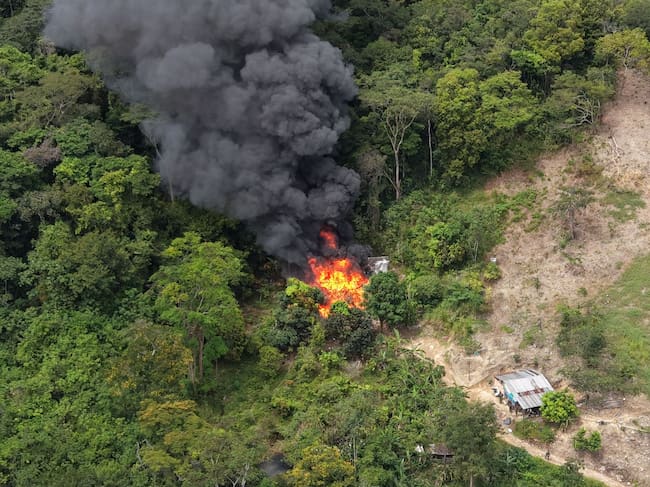 Ejército desmantelo nueve estructuras de droga perteneciente al ELN en Norte de Santander. (Foto: cortesía Ejército Nacional)