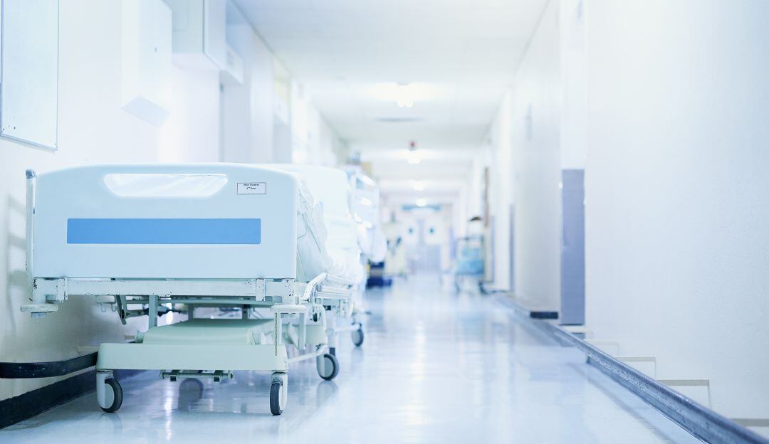 Imagen de referencia