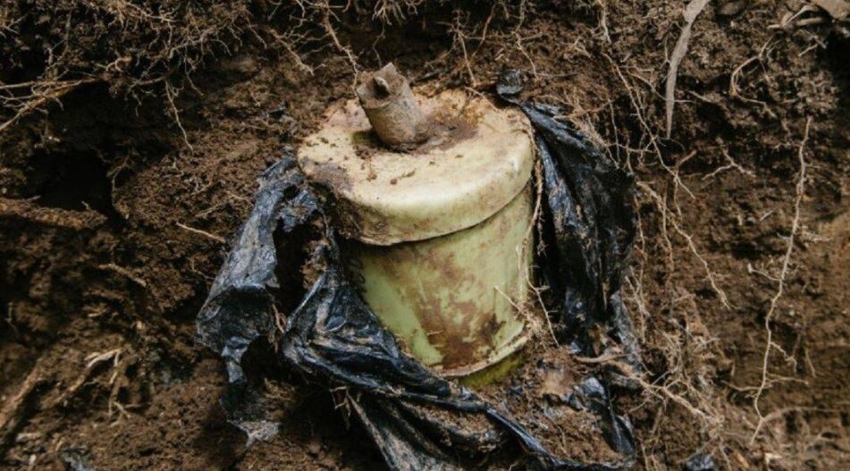 Entre los heridos hay tres adolescentes de 16 y 17 años.