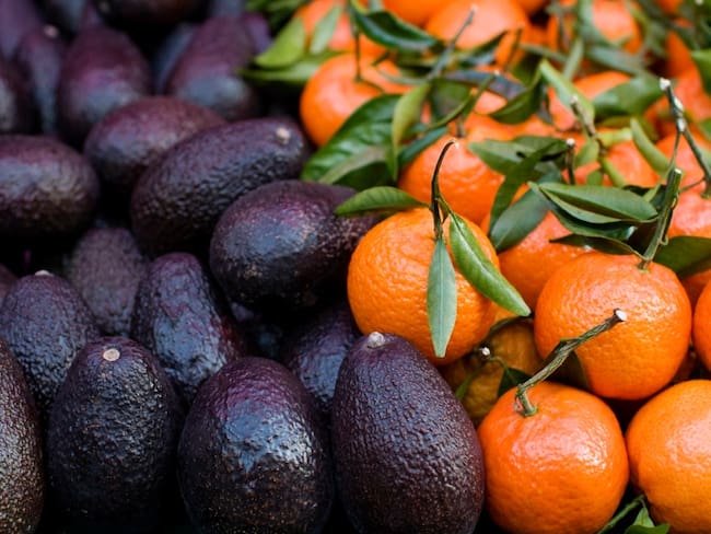 Aguacates y Naranjas // imagen de referencia - Getty Images