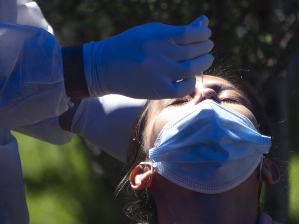 Bogotá: Detecte con una prueba PCR gratuita si tiene COVID-19