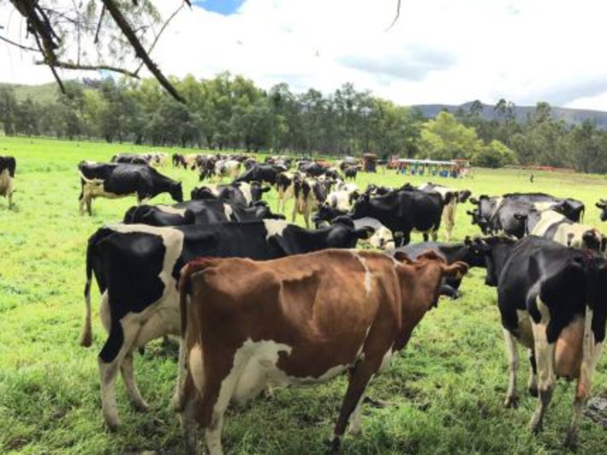 MinCiencias invertirá 5000 millones de pesos en proyectos para el suroccidente del país