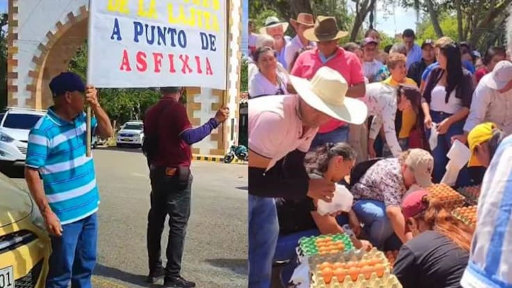 Eliseo Vargas, vocero de los avicultores