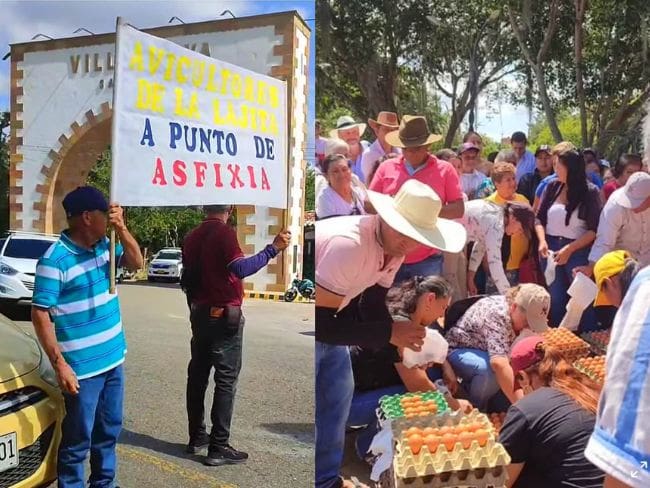 Con una donatón de huevos protestan los avicultores en Santander. Denuncian crisis por bajos precios