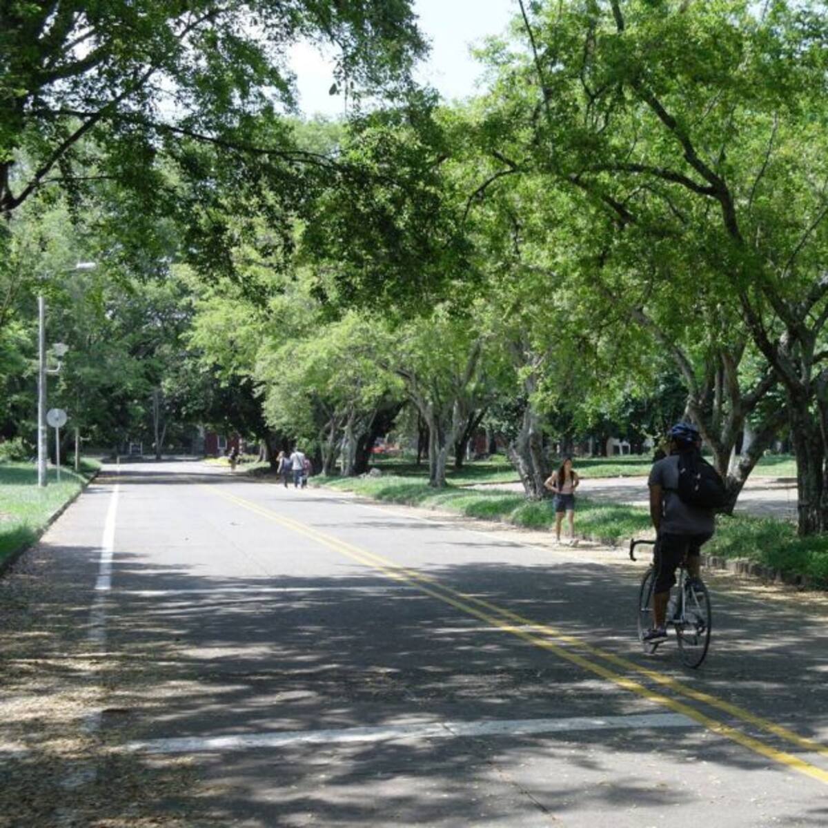 Univalle aplicará la alternancia para estudiantes en sedes regionales