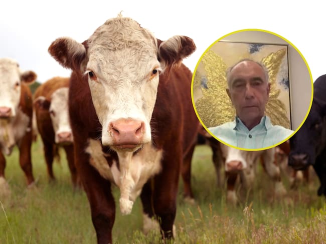 Se encontró que eran de seres humanos: JEP sobre restos encontrados en finca de empresario ganadero