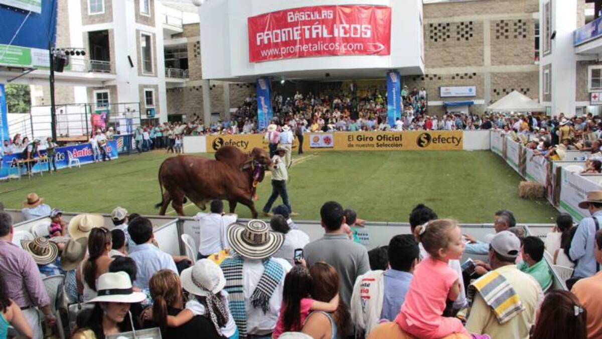 Feria Ganadera en Cenfer se inicia este sábado