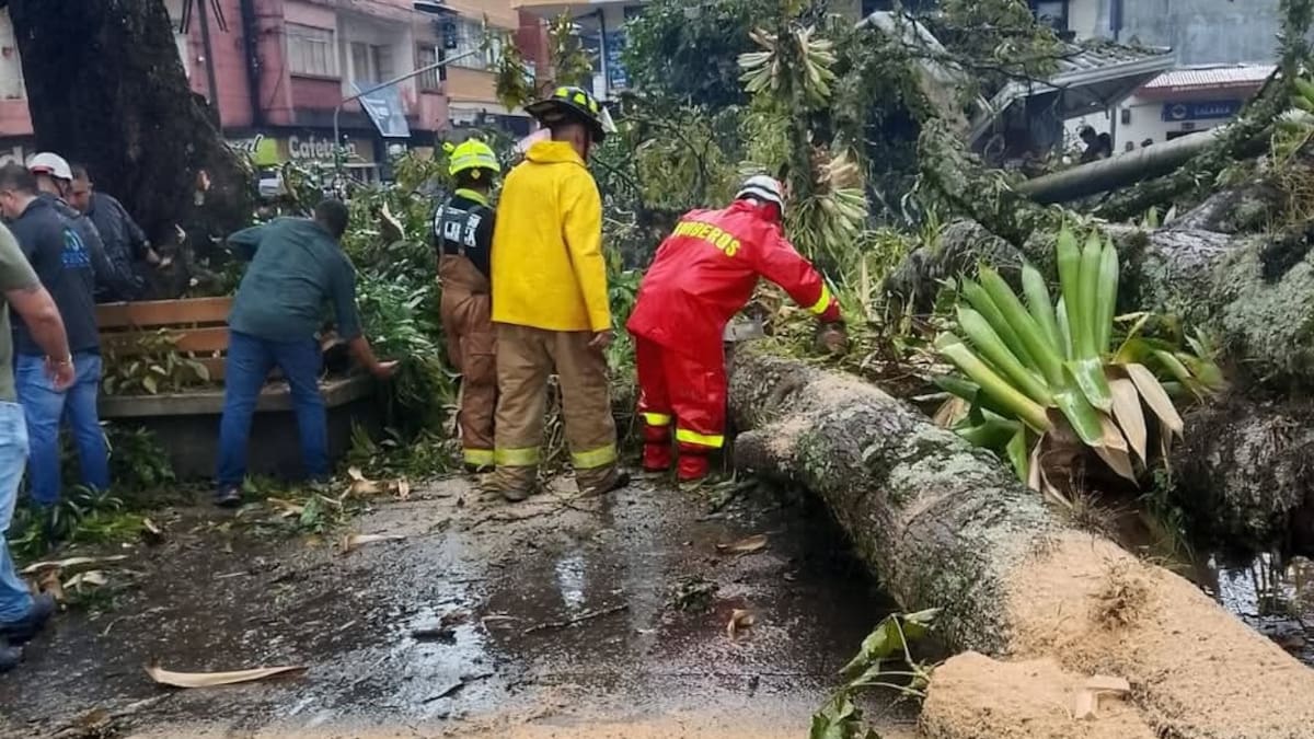 Sebastián Ramos, alcalde de Calarcá