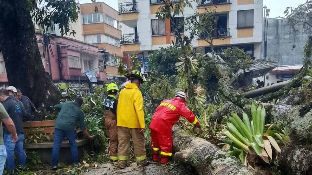 Sebastián Ramos, alcalde de Calarcá
