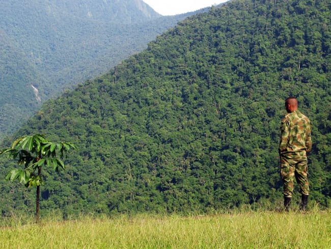 Más de 2.000 héroes de selva trabajan en la seguridad del Guaviare