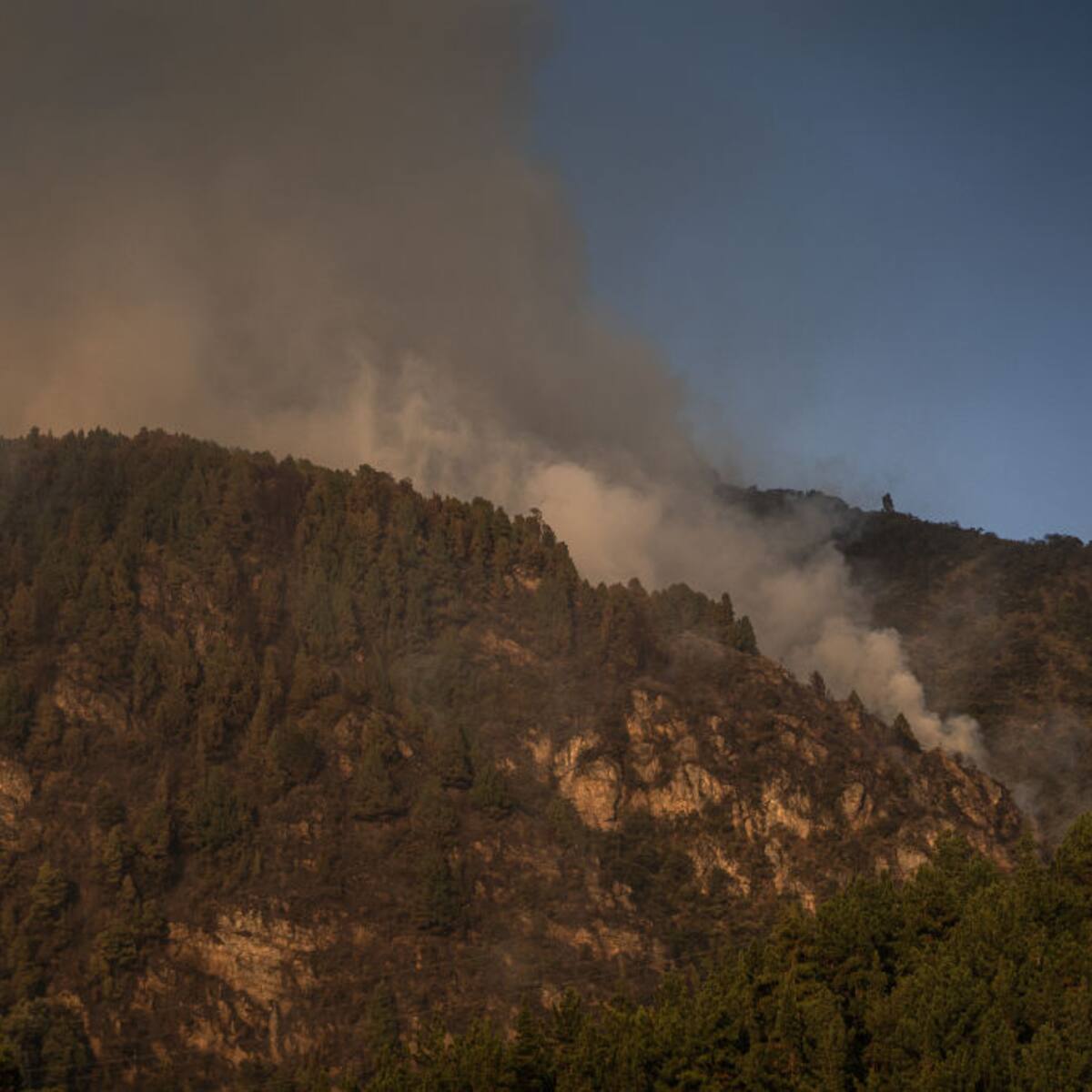 Solo en enero han sido apagados 322 incendios forestales en Colombia