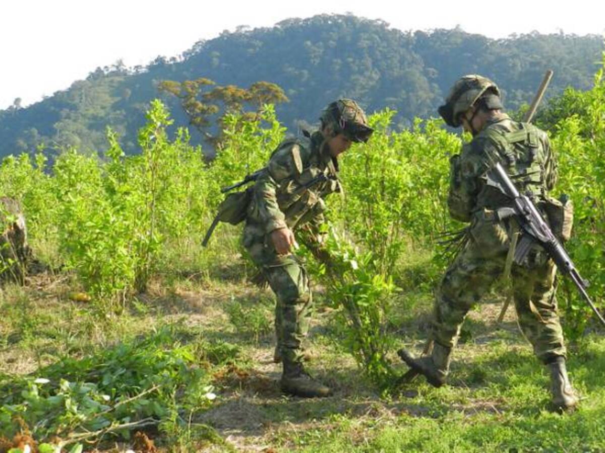 1.200 militares custodiarán a las Farc en Catatumbo