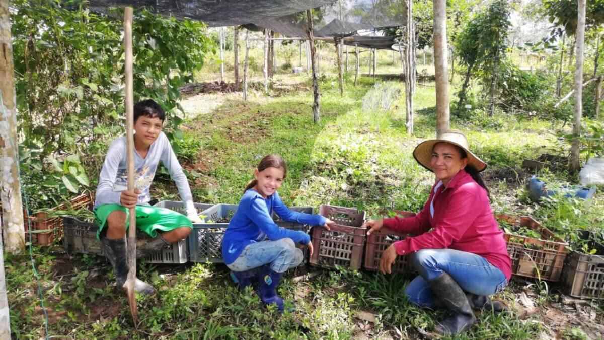 El futuro de los jóvenes campesinos debería estar en su tierra
