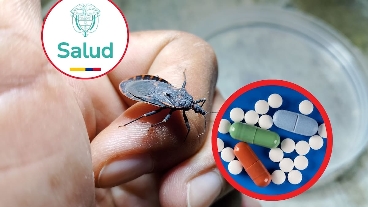 MinSalud aprueba el registro de un medicamento esencial para tratar el Chagas: de cuál se trata