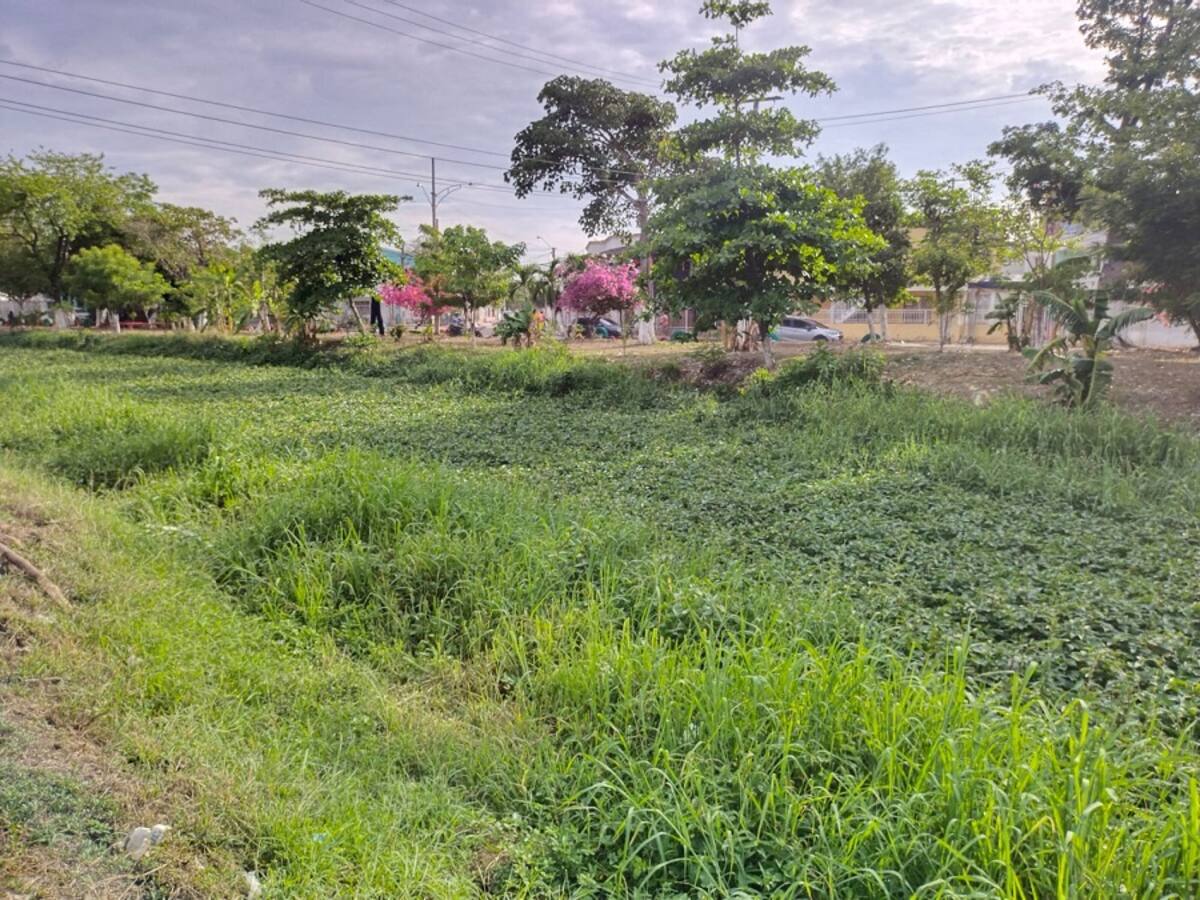 Vecinos de Las Palmeras en Cartagena lanzan SOS para intervenir el canal Matute