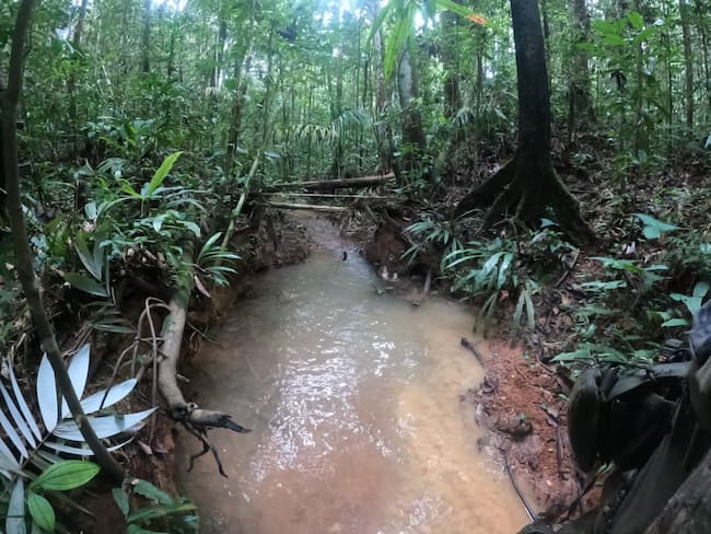 Indígenas Nukak encontraron nuevas pistas de los niños desaparecidos en Guaviare