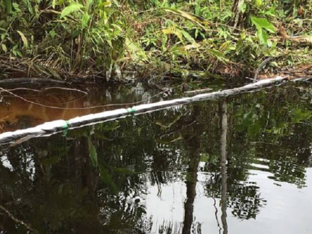 Suspenden ecoturismo en Serranía de Las Quinchas por derrame de petróleo