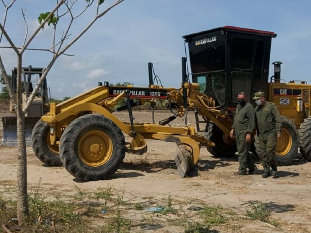 Arboricidio en Malambo: talan más de 1.500 árboles en el municipio