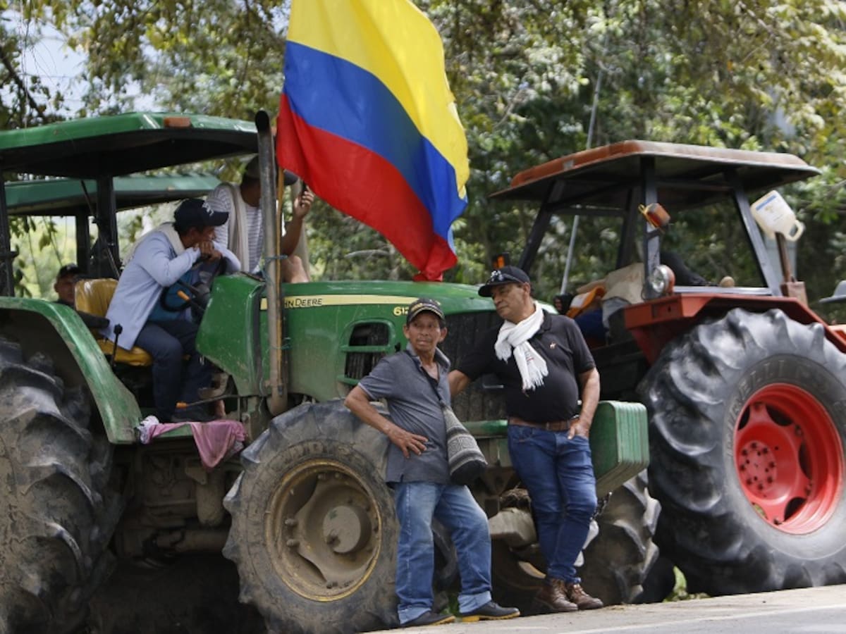 MinAgricultura anuncia condonación de hasta el 100% de intereses en deudas en mora de arroceros