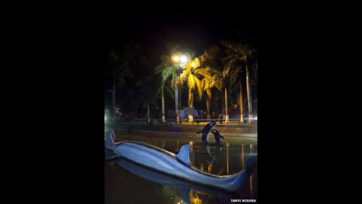 Incluso hay una piscina plástica donde delfines "saltan" fuera del agua.