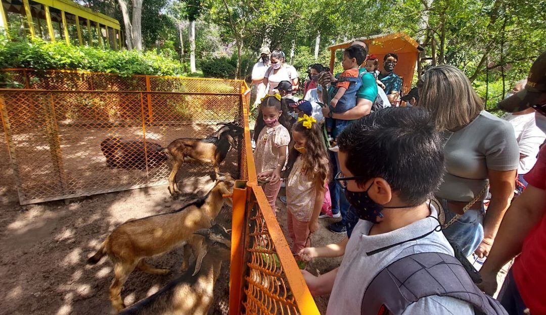 Niños realizan actividades en ecoparques