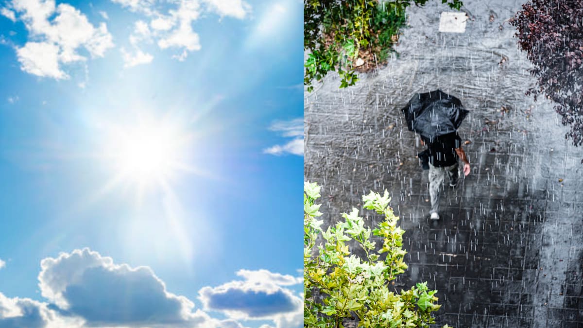 Departamento del Quindío adopta medidas para mitigar efectos del cambio climático