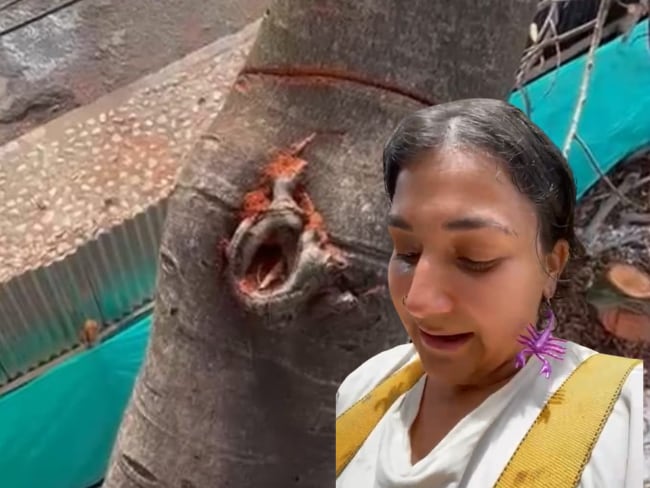 En Neiva, una joven aferrada a un árbol logró que este, no fuera talado
