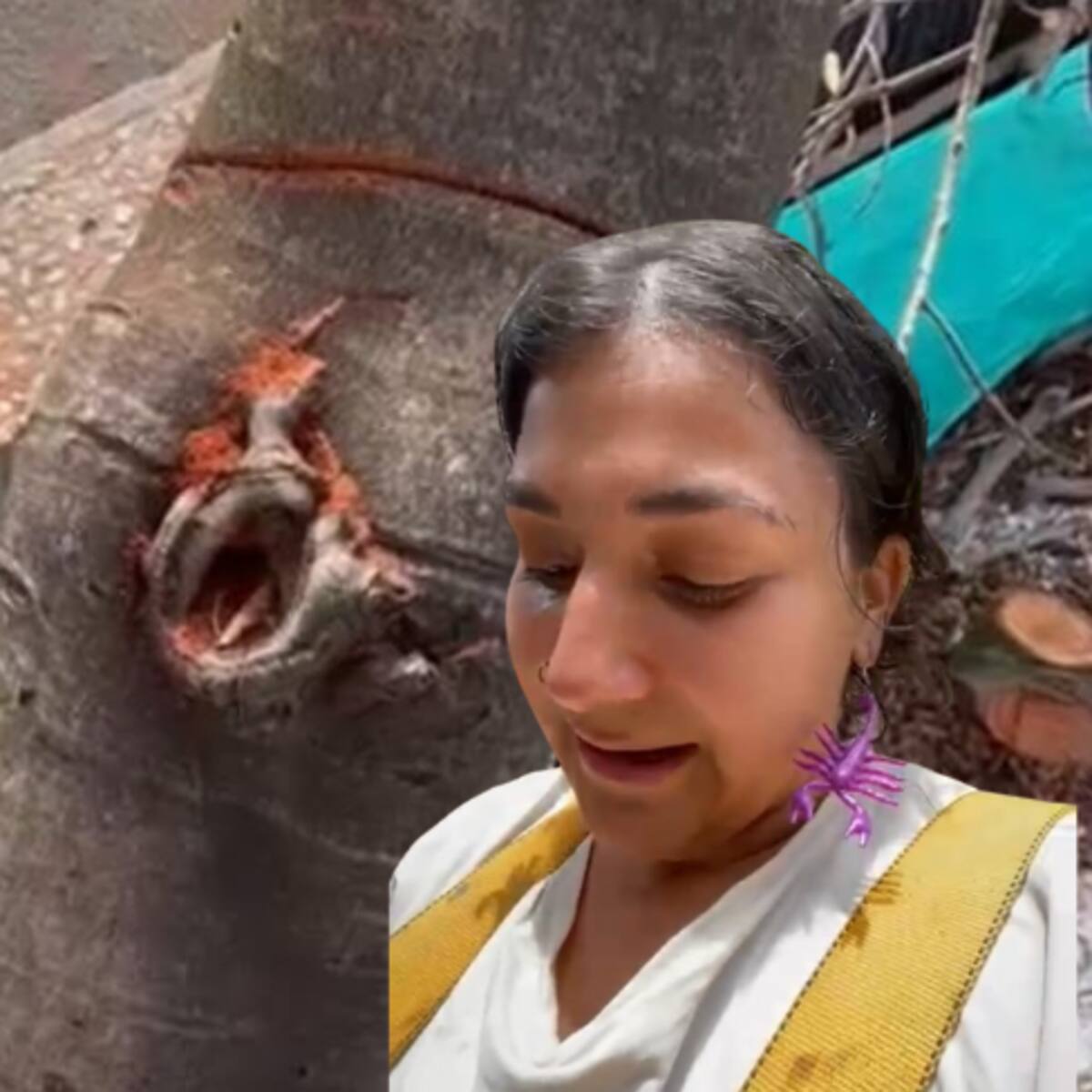 En Neiva, una joven aferrada a un árbol logró que este, no fuera talado