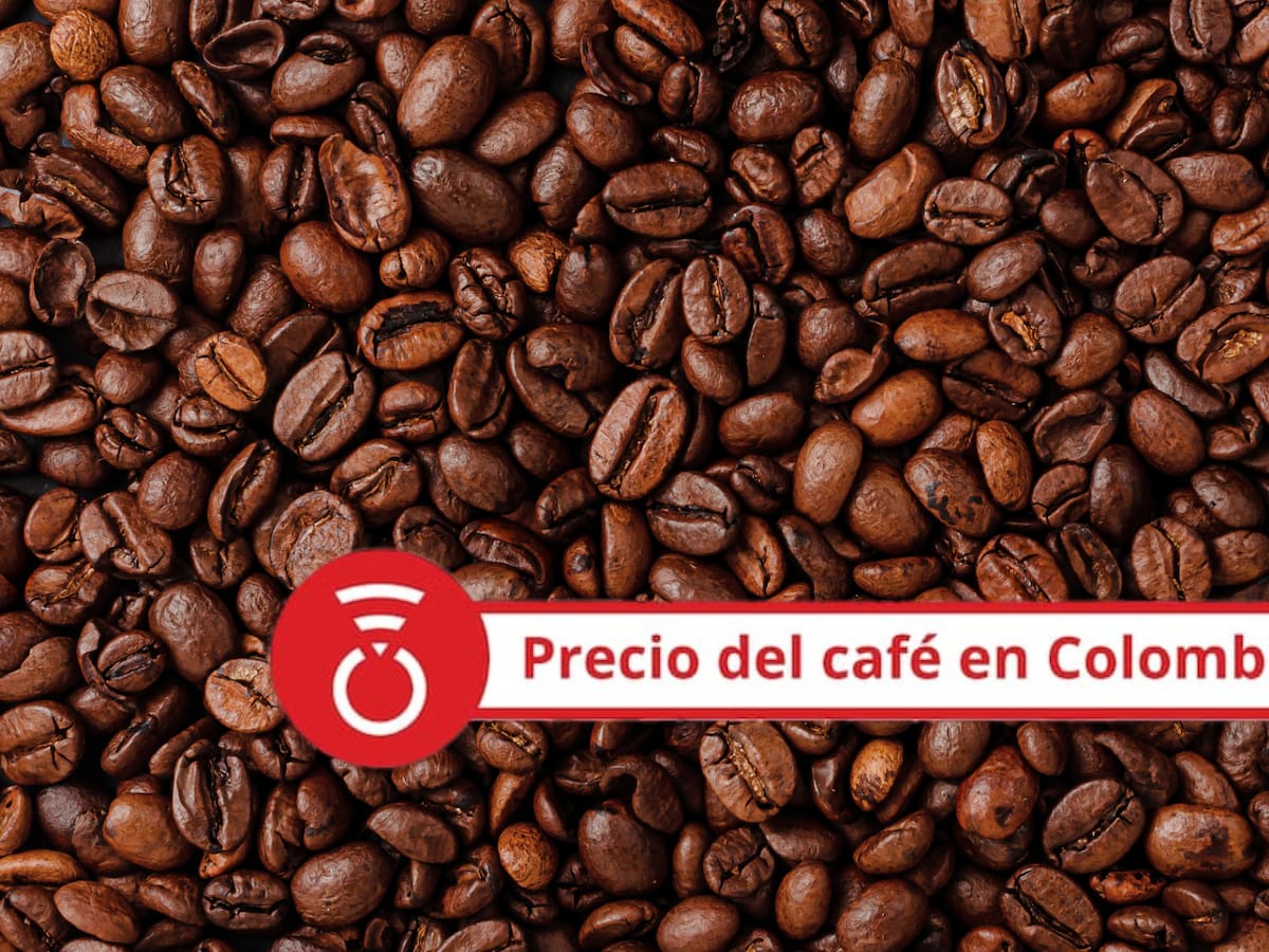 Precio del café HOY 21 de septiembre: inicio de semana con un incremento mínimo
